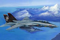 Hobbyboss 1/48 F-14D Super Tomcat